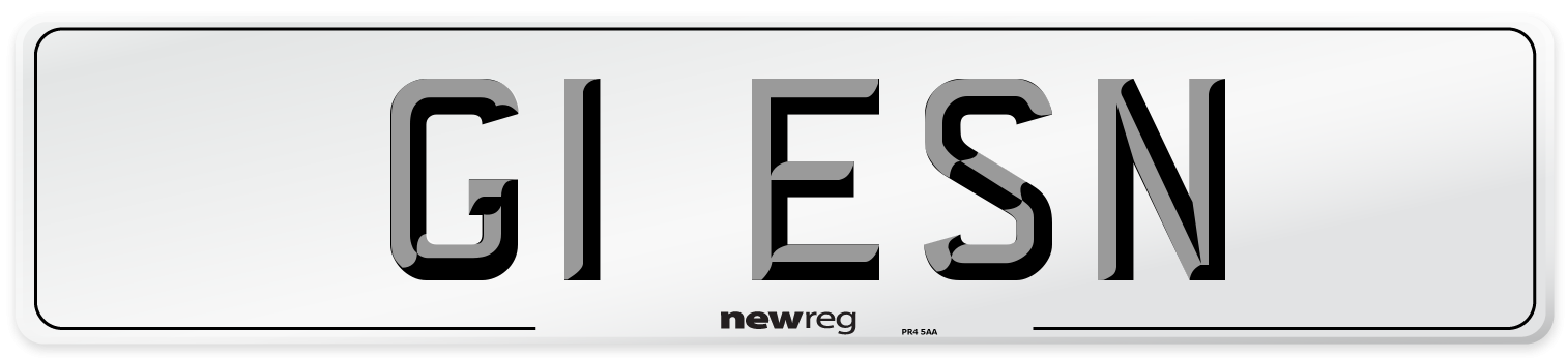 G1 ESN Number Plate from New Reg